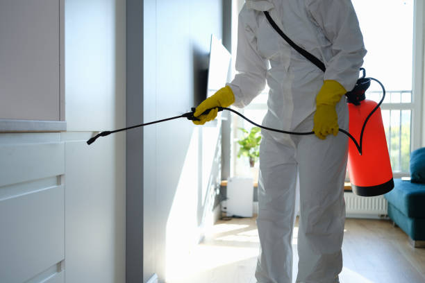 Best Residential Mold Remediation in Caryville, TN