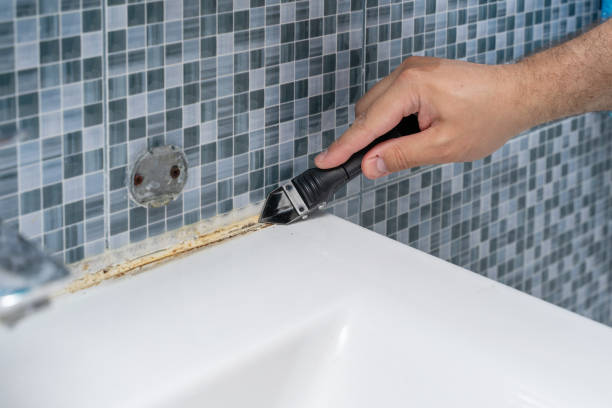 Best Localized Mold Remediation (e.g., coastal areas, humid climates) in Caryville, TN