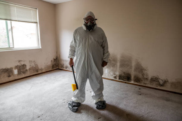 Best Mold Testing and Inspection Services in Caryville, TN